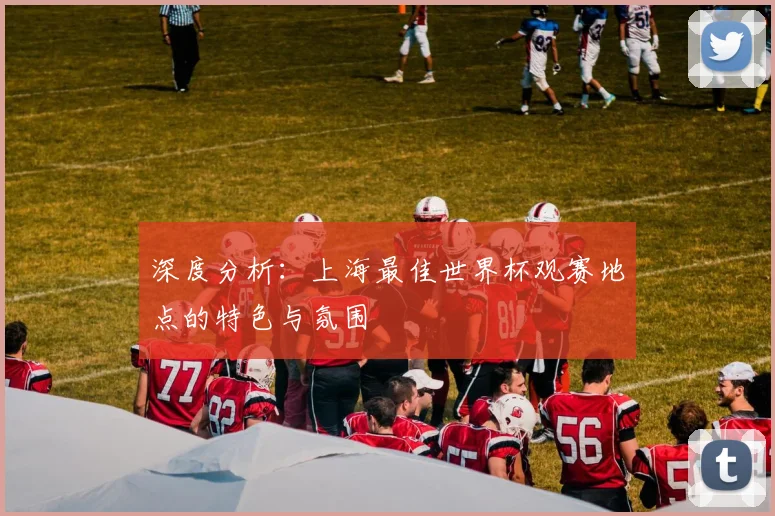 深度分析：上海最佳世界杯观赛地点的特色与氛围