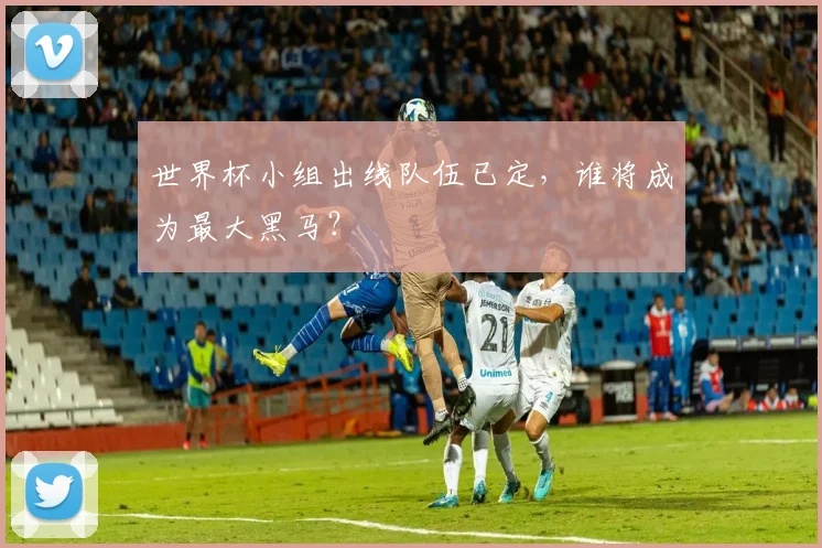 世界杯小组出线队伍已定，谁将成为最大黑马？