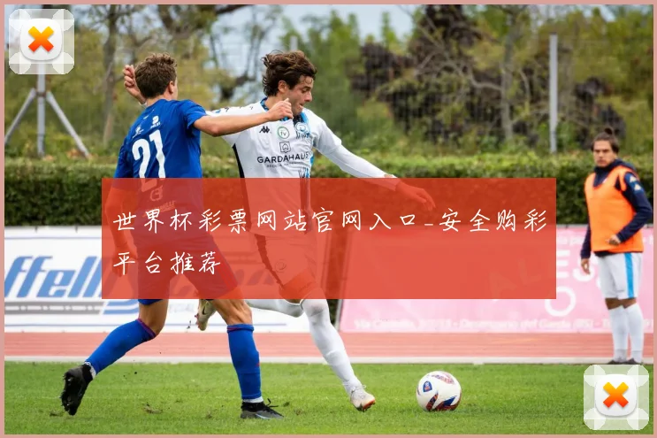 世界杯彩票网站官网入口_安全购彩平台推荐