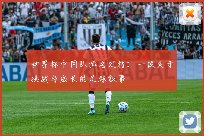 世界杯中国队排名定格：一段关于挑战与成长的足球叙事