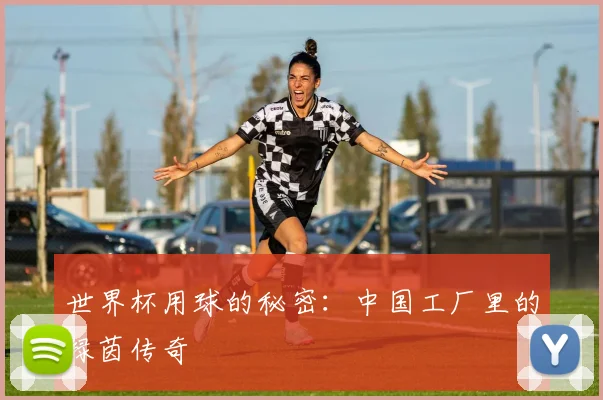 世界杯用球的秘密：中国工厂里的绿茵传奇