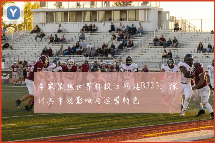专家聚焦世界杯投注网站B323：探讨其市场影响与运营特色