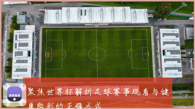 聚焦世界杯解析足球赛事观看与健康购彩的正确方式