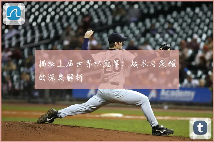 揭秘上届世界杯冠军：战术与荣耀的深度解析