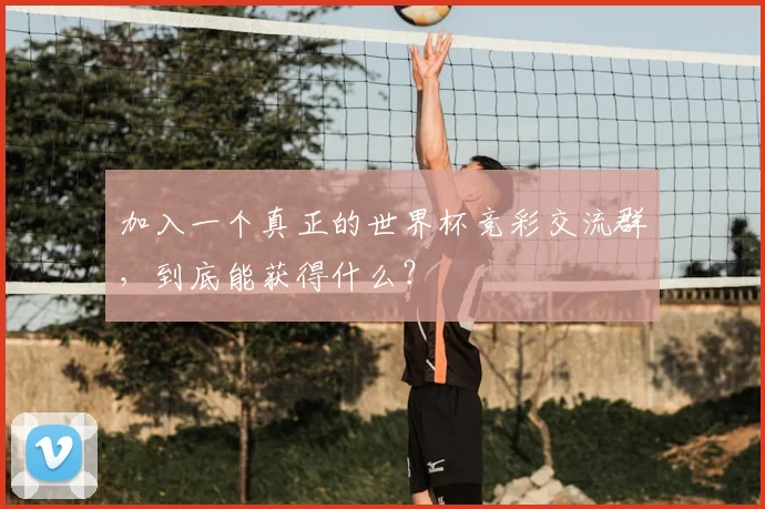 加入一个真正的世界杯竞彩交流群，到底能获得什么？