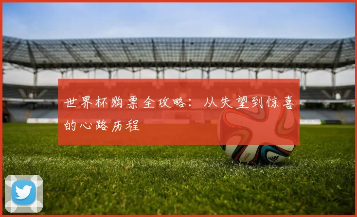 世界杯购票全攻略:从失望到惊喜的心路历程