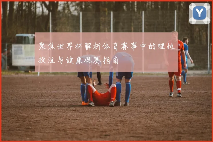 聚焦世界杯解析体育赛事中的理性投注与健康观赛指南