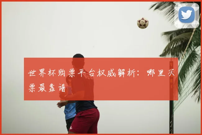 世界杯购票平台权威解析:哪里买票最靠谱