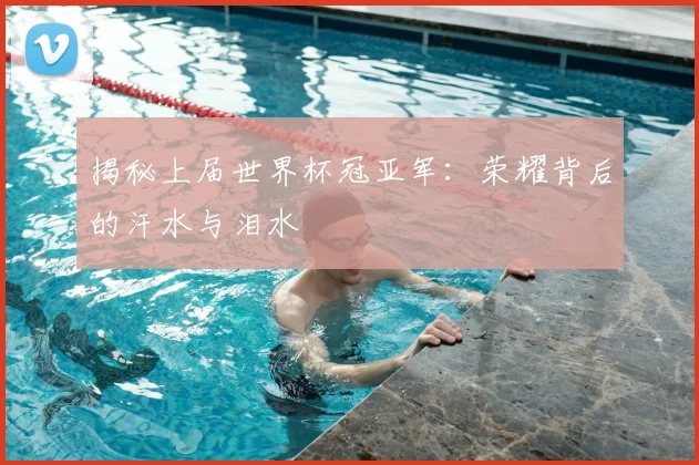 揭秘上届世界杯冠亚军:荣耀背后的汗水与泪水