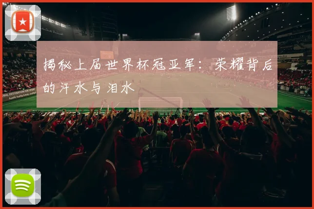 揭秘上届世界杯冠亚军：荣耀背后的汗水与泪水
