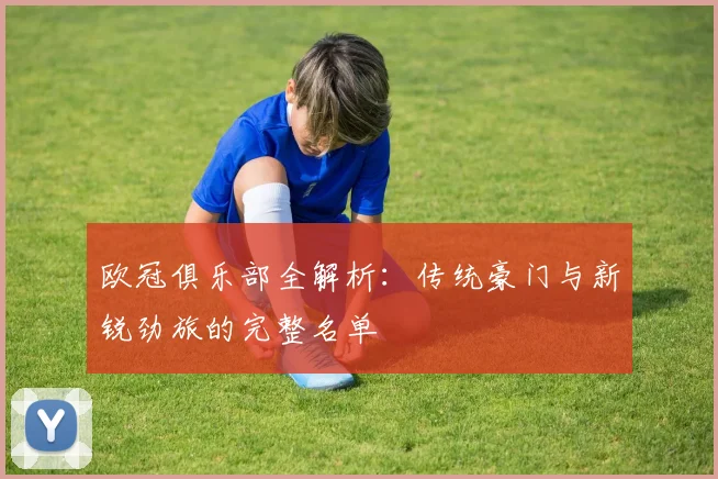 欧冠俱乐部全解析：传统豪门与新锐劲旅的完整名单