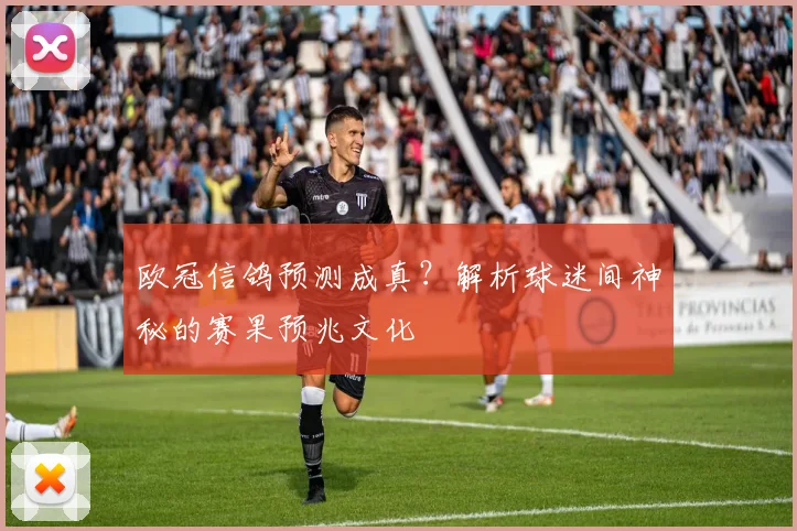 欧冠信鸽预测成真？解析球迷间神秘的赛果预兆文化