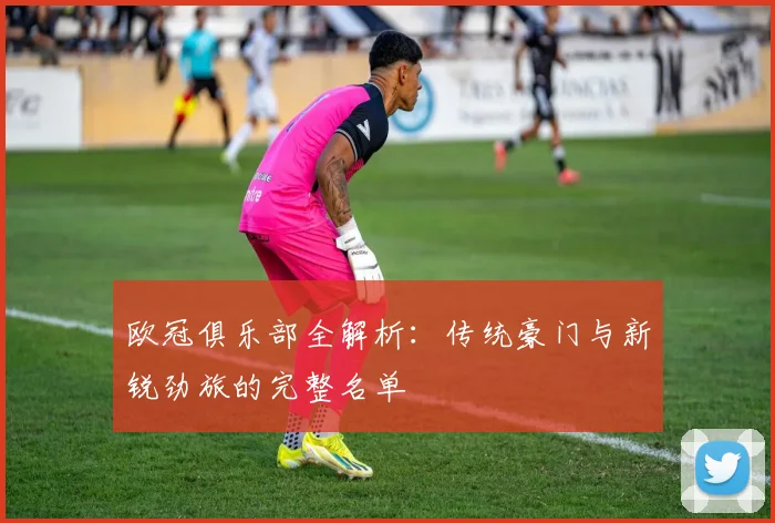 欧冠俱乐部全解析：传统豪门与新锐劲旅的完整名单